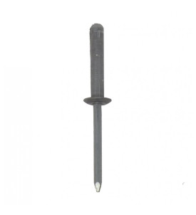 Rivet