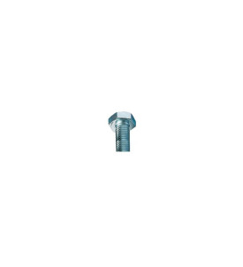 Vis HM 8.8 10 x 30 mm