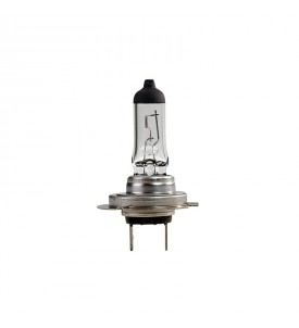 Ampoule H7 PX 26D 12V 55W iode