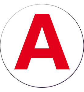Disque jeune chauffeur Adhésif